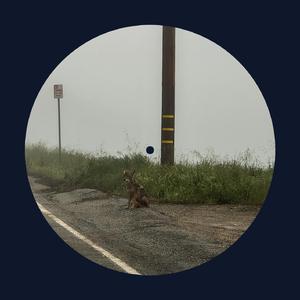 51大赛 - 香香公主
